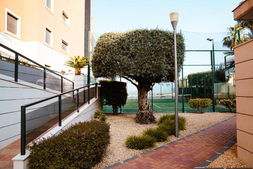 Sol Denia Appartement Buitenkant foto